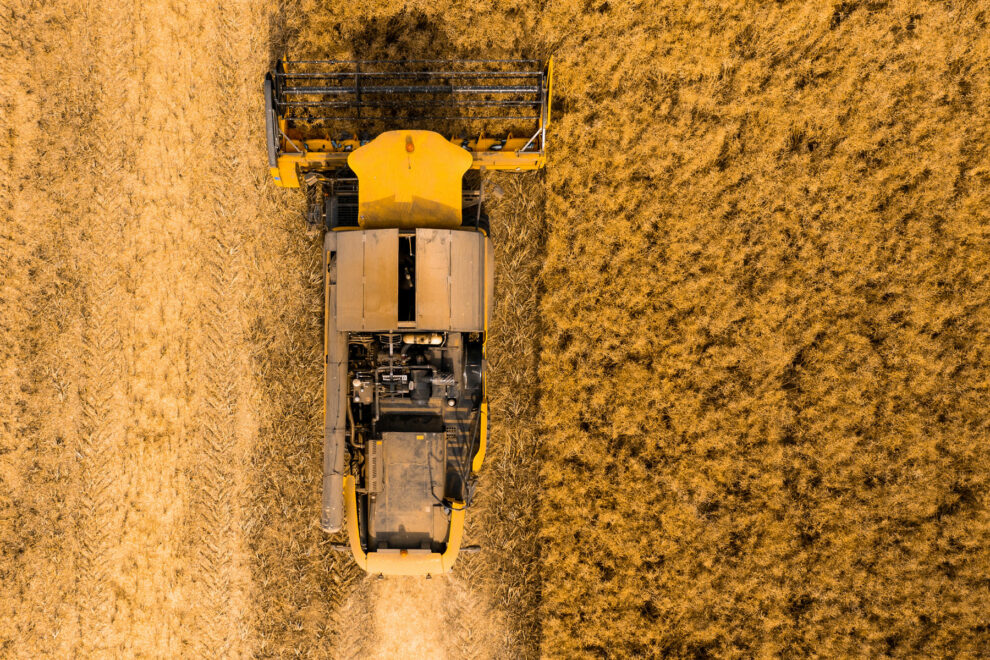 Farming, Law of The Harvest, Rehabilitation, Recovery